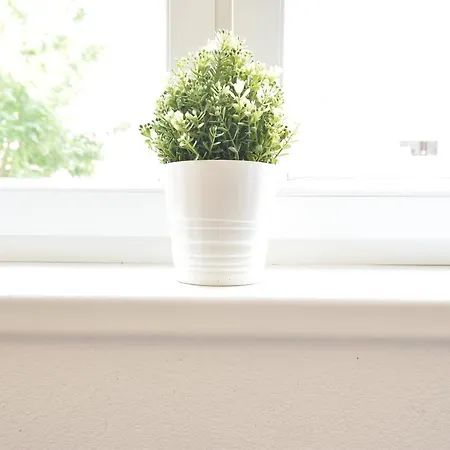 Apartment Riesiges Zentrales Mit Parkplatz Innsbruck