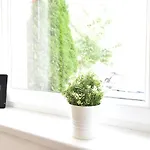 Apartment Riesiges Zentrales Mit Parkplatz *