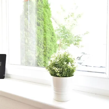 公寓 Riesiges Zentrales Mit Parkplatz *