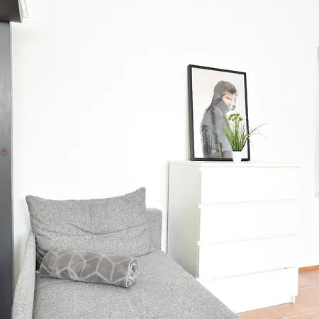 Riesiges Zentrales Mit Parkplatz 公寓