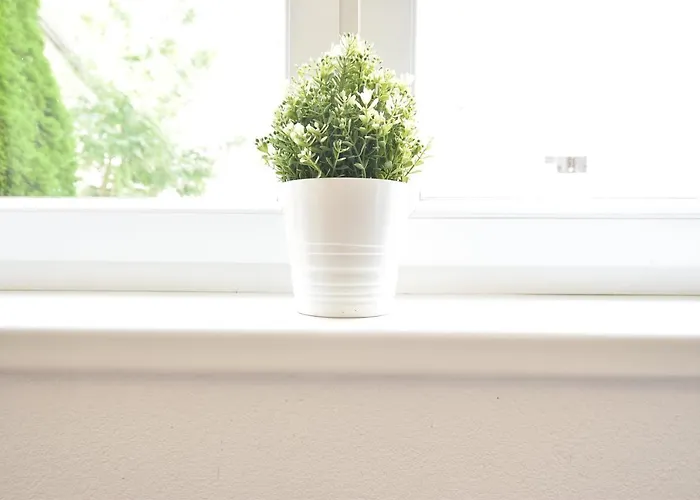 Apartament Riesiges Zentrales Mit Parkplatz Innsbruck